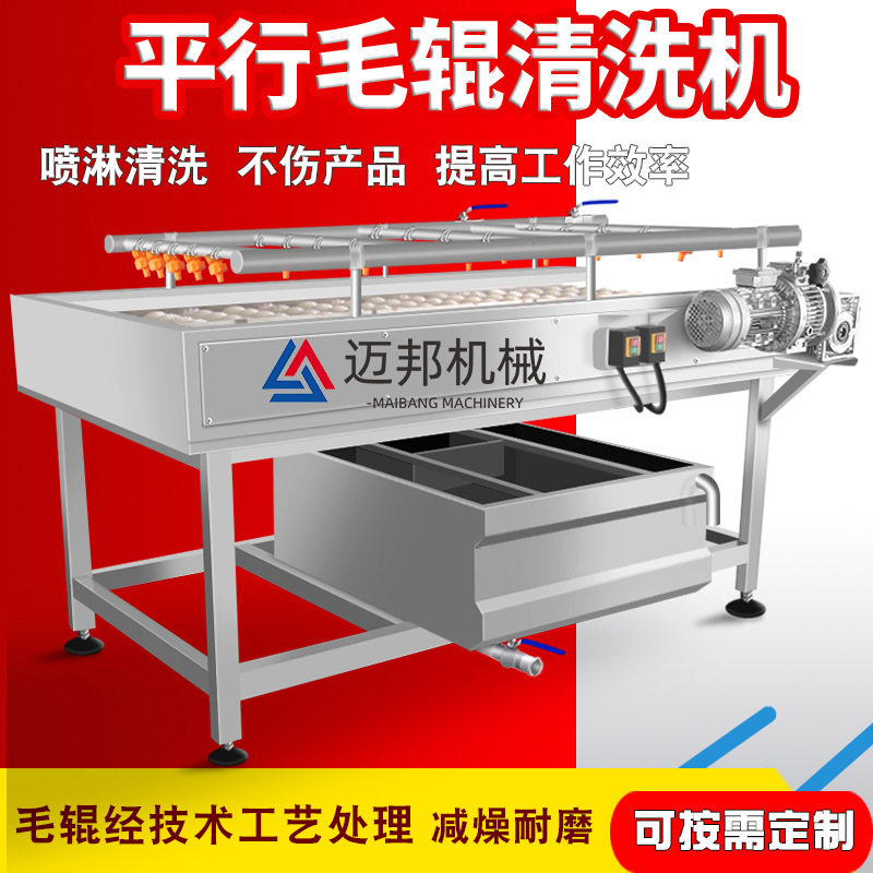 厂家生产平行毛辊水果清洗机