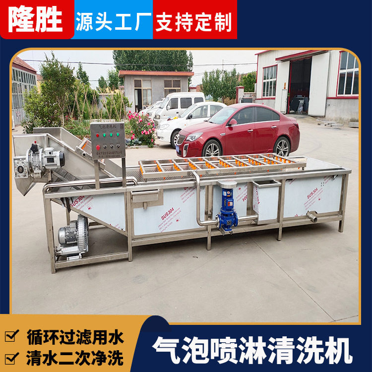 全自动水果去农残鼓泡清洗机