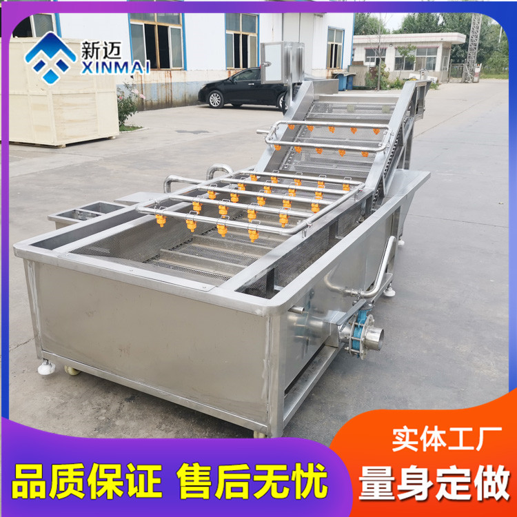 果蔬清洗漂烫消毒流水线