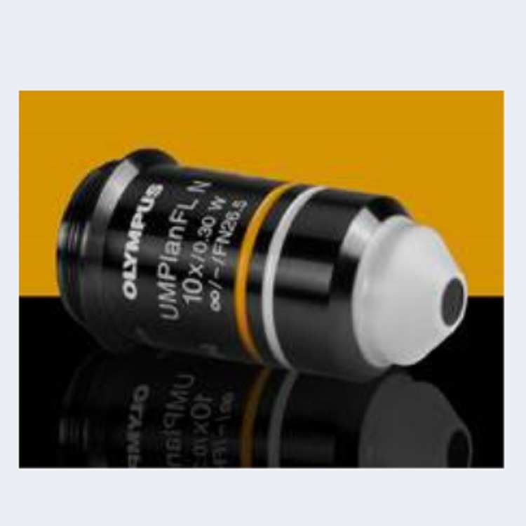 Olympus奥林巴斯 水浸10X物镜 1-U2M583