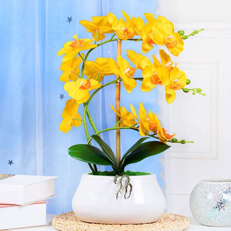 蝴蝶兰仿真花套装假花绢花塑料花盆景家居客厅茶几电视柜装饰摆设