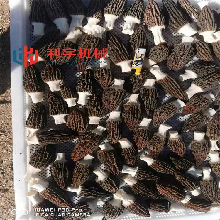 羊肚菌菌种灭菌柜 高温高压灭菌设备 香菇木耳灭菌器