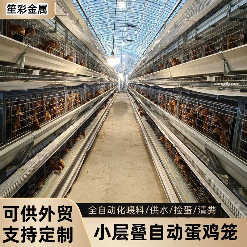 小层叠蛋鸡笼自动化鸡笼养殖场自动化清粪捡蛋喂料鸡场养殖设备