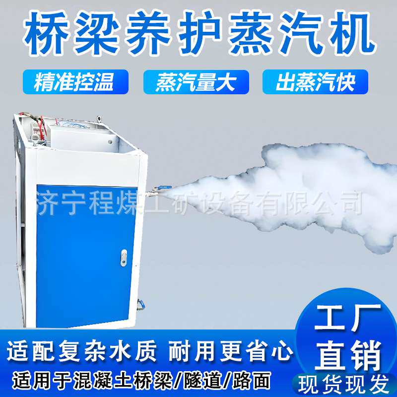 桥梁养护器电加热燃油蒸汽发生器预制水泥构件梁场桥梁养护蒸养机