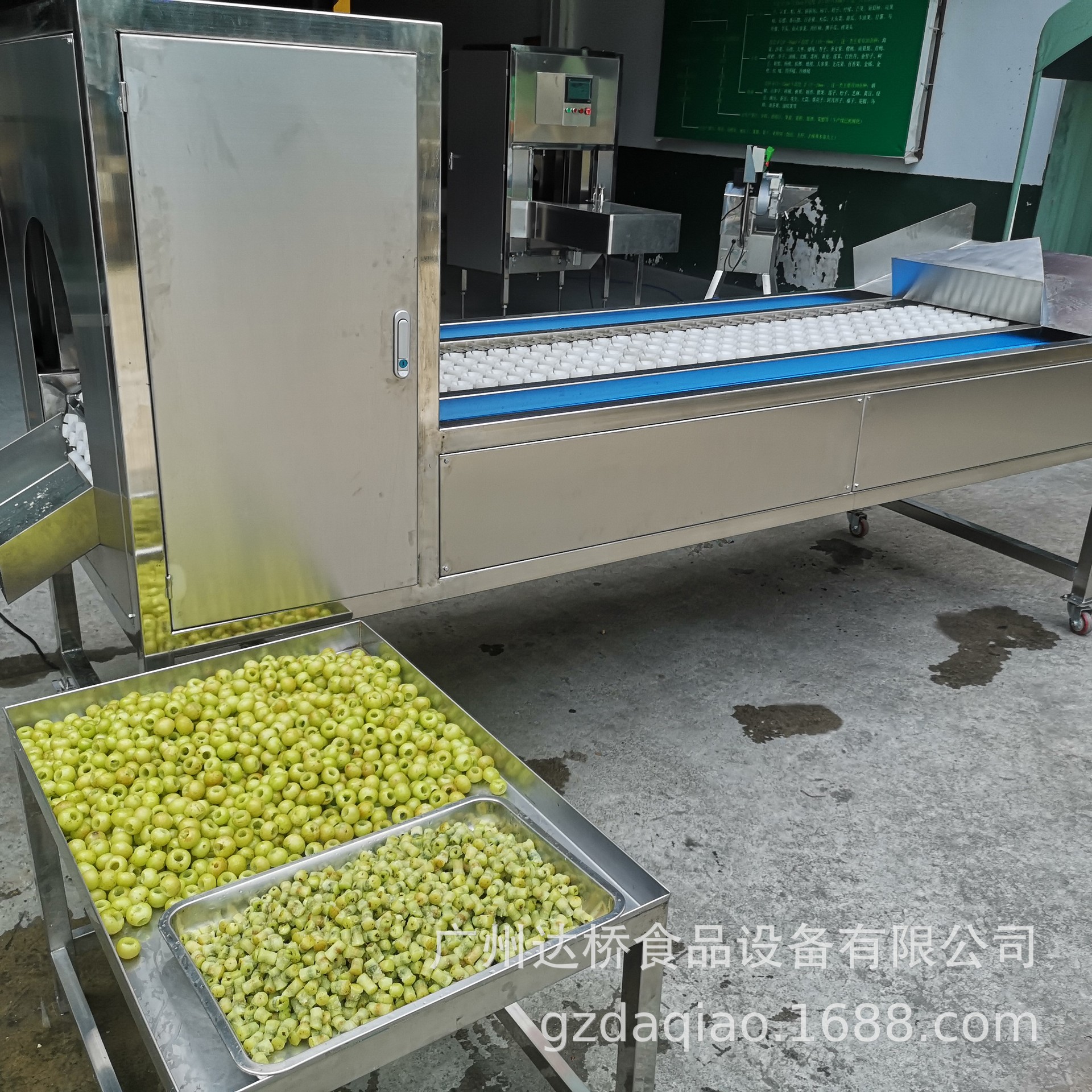 DQ达桥余甘子滇橄榄油柑去核机捅核机工业型自动化设备商用大产量