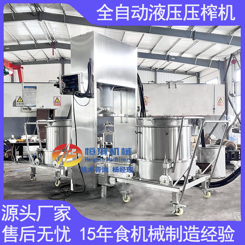 框栏式冰葡萄快速榨汁机新鲜蓝莓蔓越莓果汁过滤压榨机
