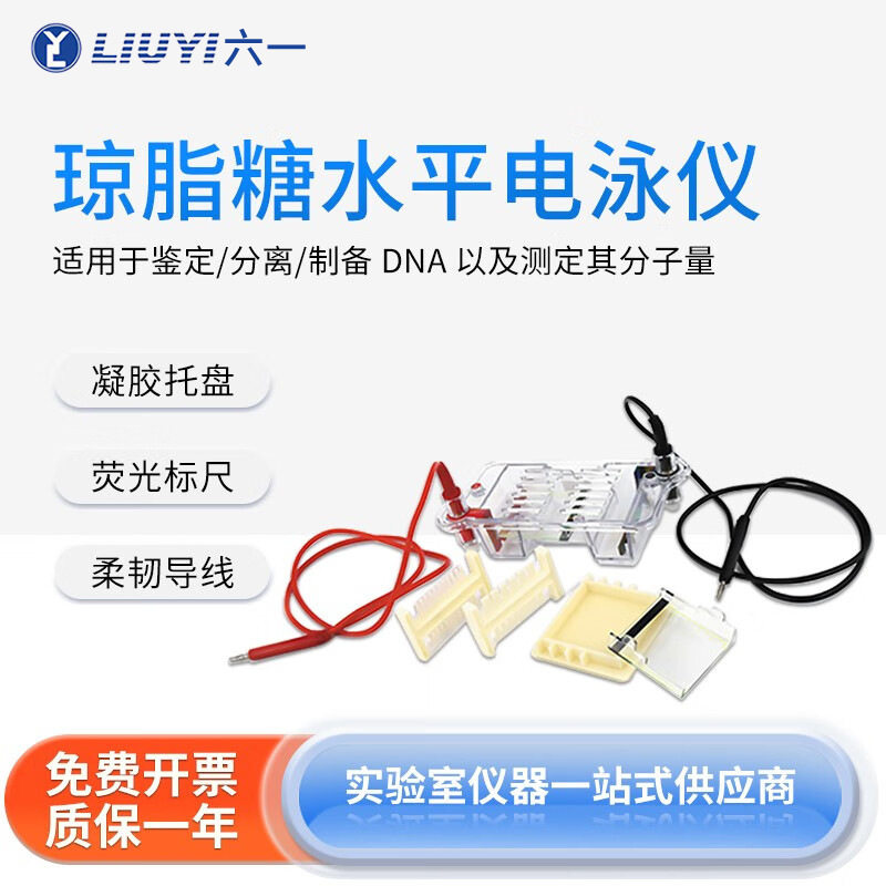 北京六一DYCP-31DN琼脂糖水平电泳仪实验室蛋白凝胶电泳槽