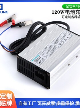 工厂铝壳100-g240vac 14.6V 3A 4A 5A 6A 充电器12V磷酸铁锂充电