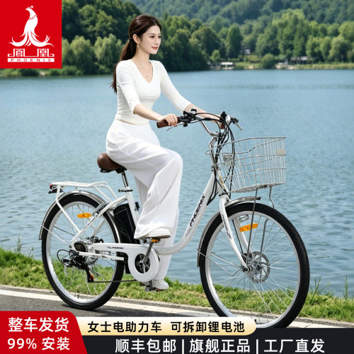 轻便低跨电动助力车锂电池