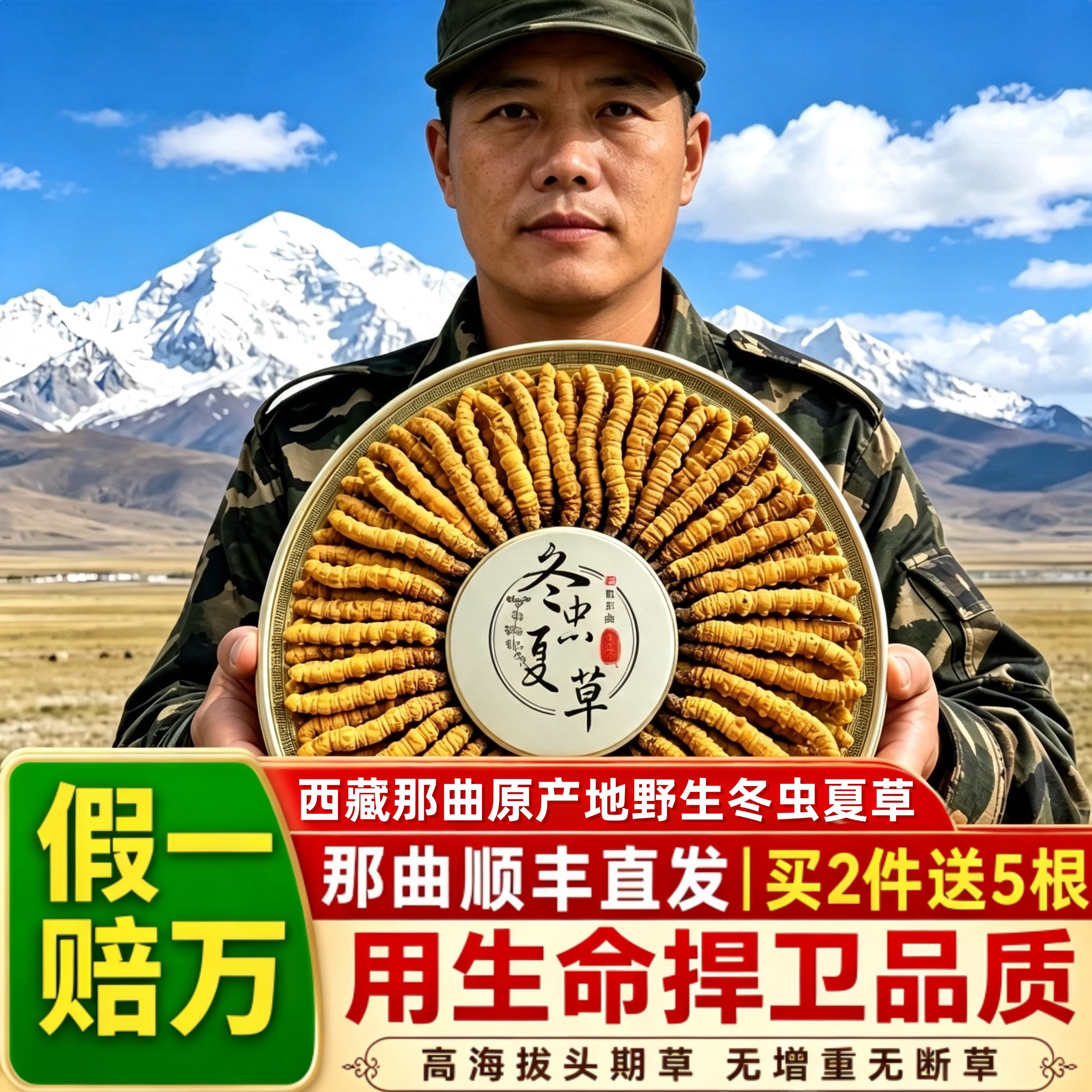 2026西藏那曲野生头期新鲜冬虫夏草官方旗舰店正品滋补礼盒自己吃 - 实物图