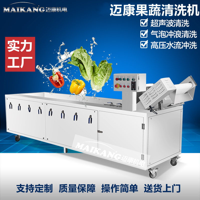 厂家供应红椎菌清洗机 多功能气泡洗菜机 不锈钢菌菇蘑菇清洗设备
