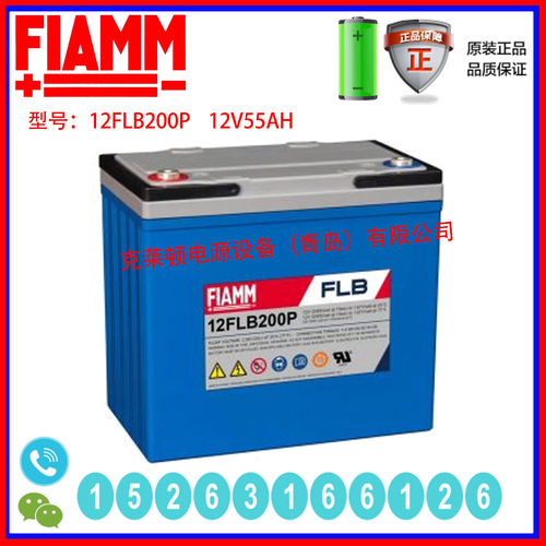 FIAMM蓄电池12V55AH长寿命UPS