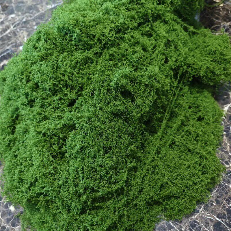 现货仿真青苔植i毛草坪苔藓植物造景装饰绿植室内摆件网红毛线青