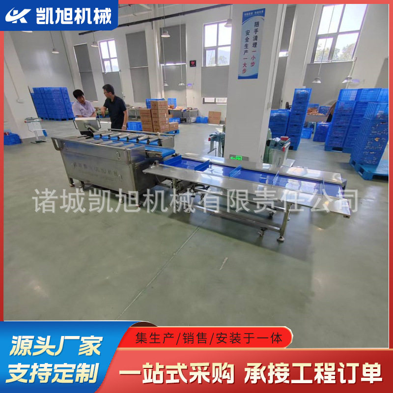 全自动果蔬定量配重秤 肉块牛排称重包装分选组合秤 性能好省人工