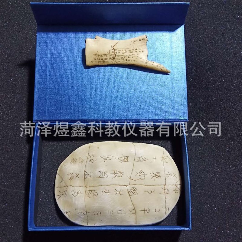 教学仪器a 卜甲卜骨 初中甲骨文模型 殷墟甲骨文 历史教学模型