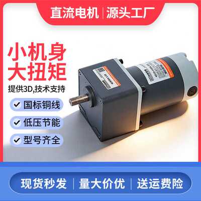 60w24v减速直流电机12v低压节能调速直流电机120w48v直流马达