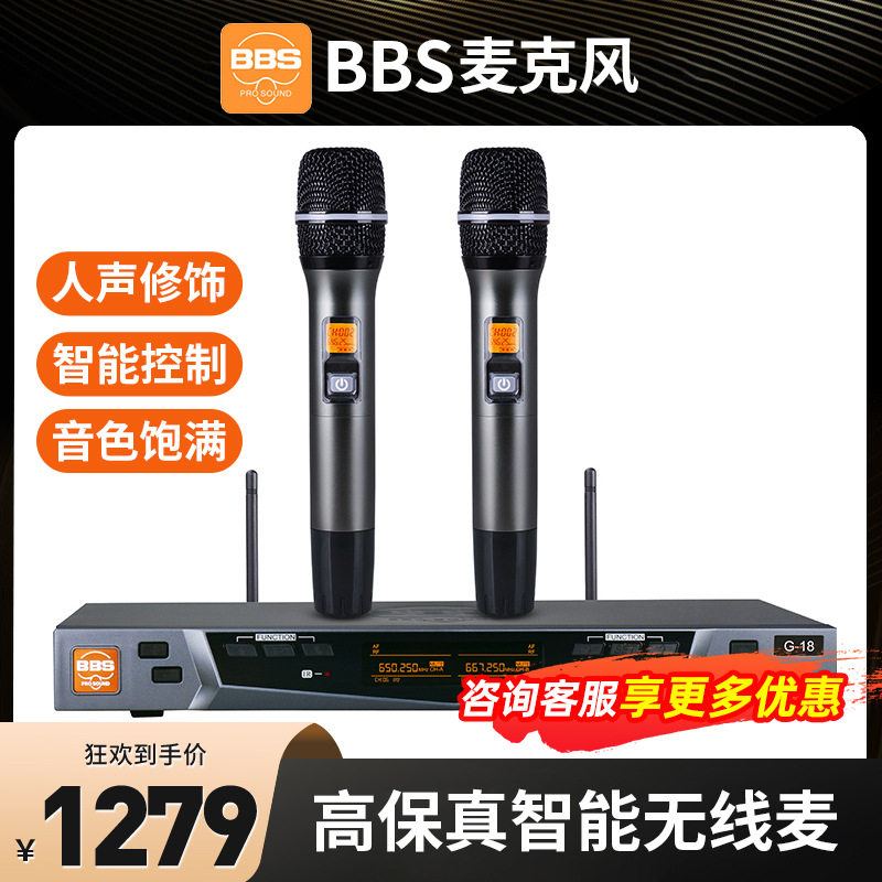 BBS无线麦克风一拖二家用k歌话筒专业教学演出KTV专用麦防啸叫G18