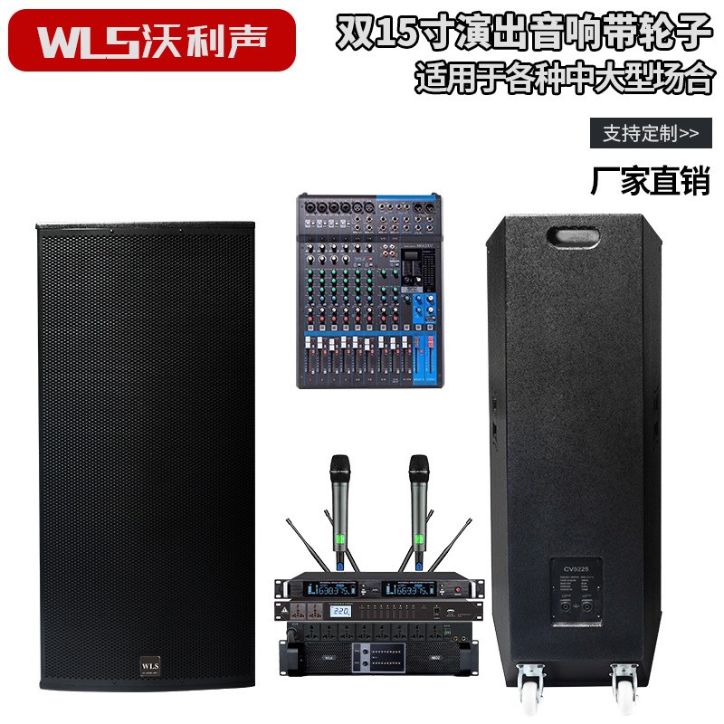 双十五寸演出音响 会议室酒吧舞台专业音响 kt.v音响设备