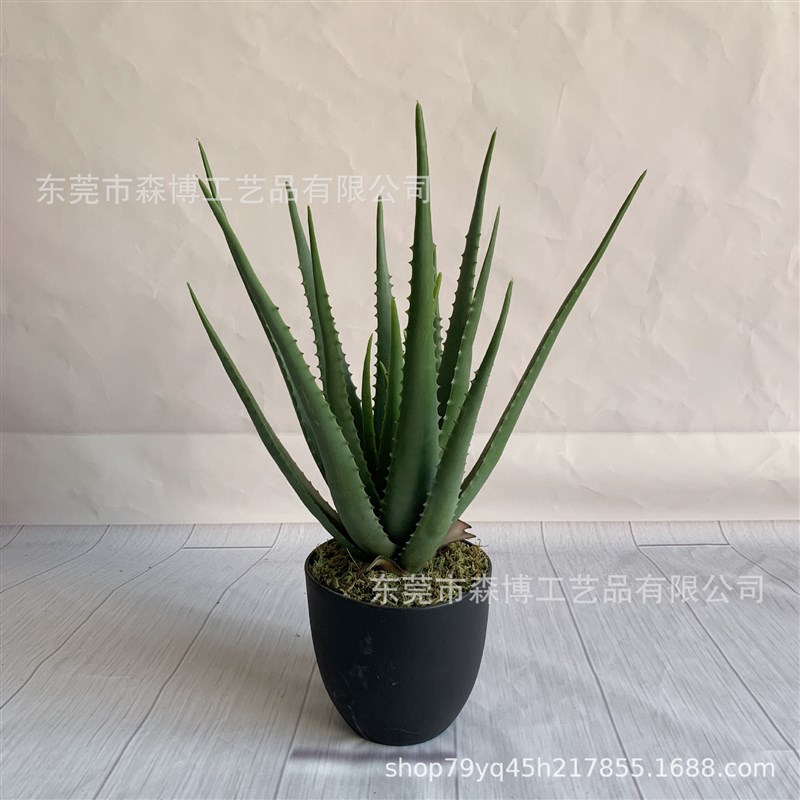 仿真植物假f芦荟盆栽盆景室内外客厅桌面多肉小绿植摆件橱窗装饰