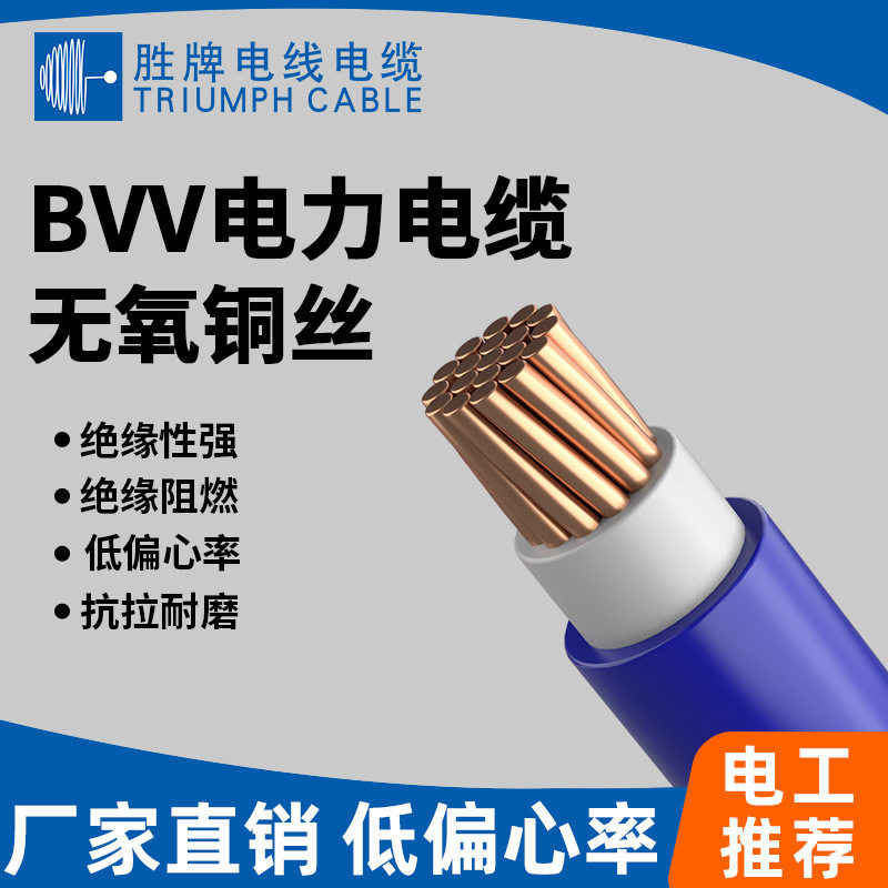 胜牌BVV10平方国标阻燃铜线