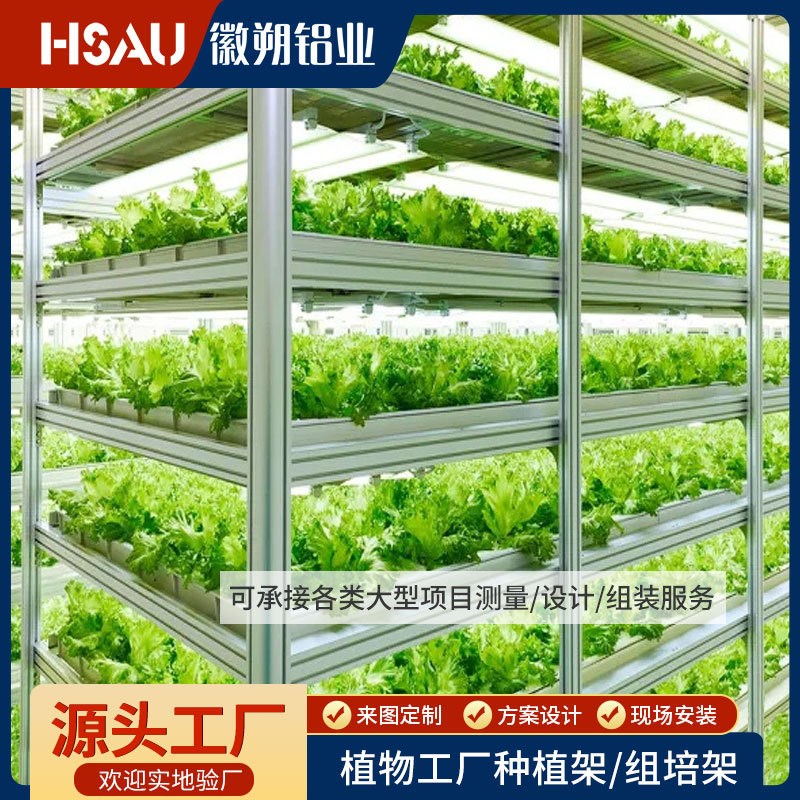 植物工厂组培架立体块根s植物架温室大棚无土栽培水培铝型材种植