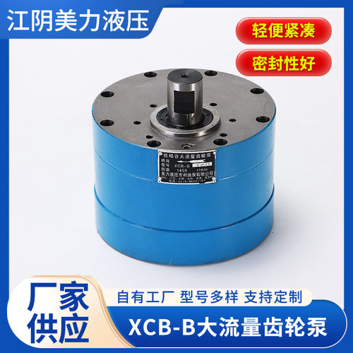 XCB-B大流量低噪齿轮泵非标定