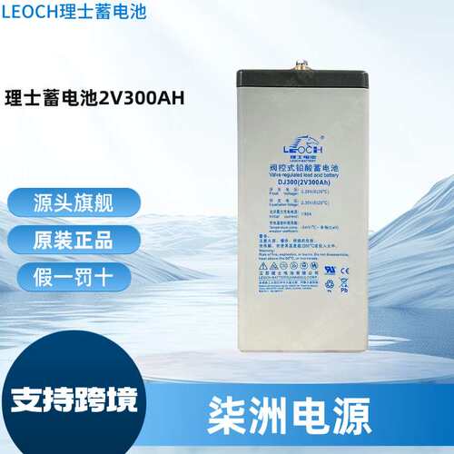 LEOCH理士蓄电池DJ200 直流屏 2V200AH  铅酸蓄电池