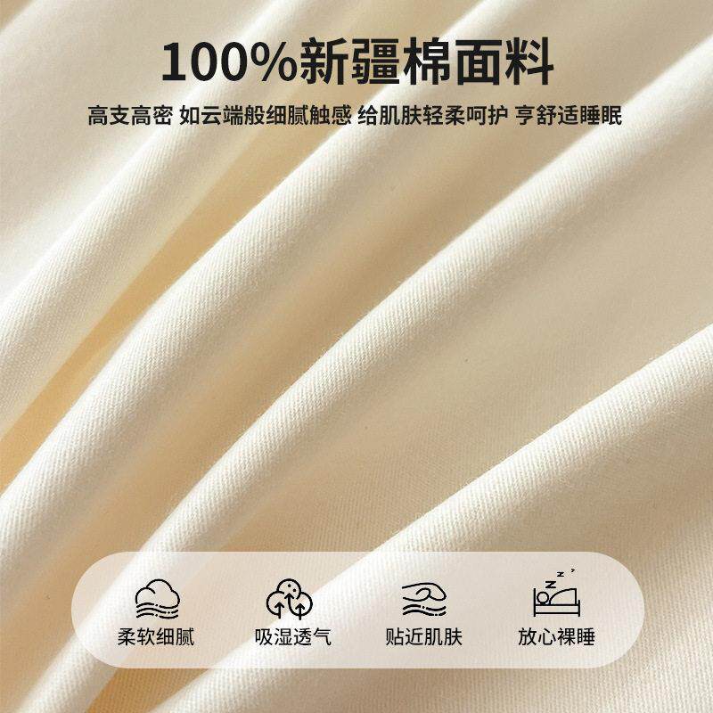 全纯棉床上四件套BA面2被025新款轻奢棉床套床笠124578款端床品