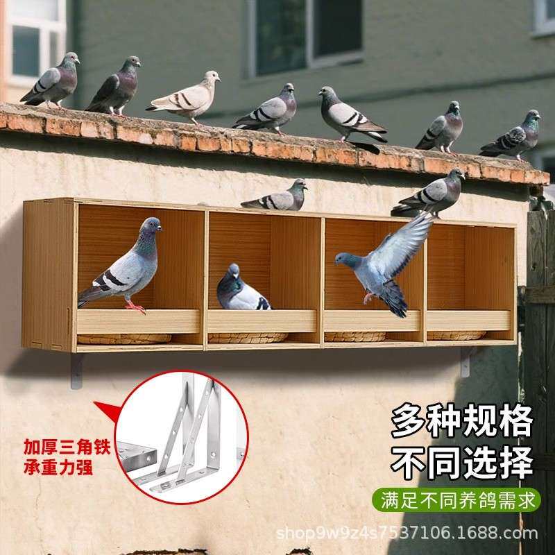 挂墙鸽子笼拼装箱木制加厚鸽子窝赛鸽巢箱信鸽养殖配对箱家用鸽笼