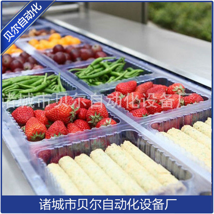 果蔬净菜包装机宠物食品包装机狗粮包装机设备