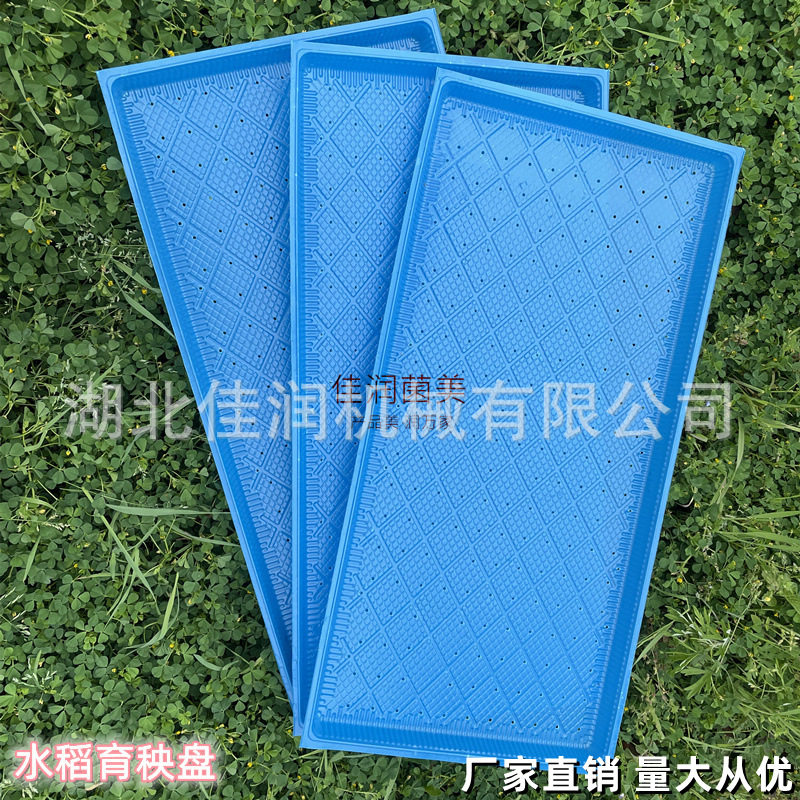 新款水稻加厚软盘育秧机插秧盘