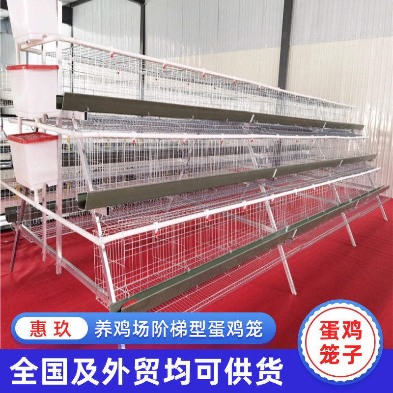 阶梯式蛋鸡笼子三层四层阶梯式蛋鸡笼家禽养殖设备冷镀锌蛋鸡笼