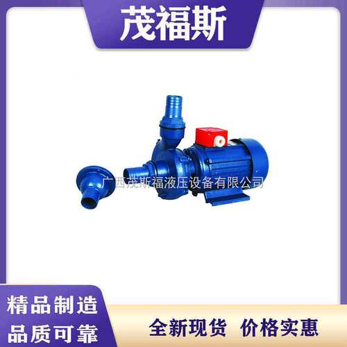40JDB-12 550W 304不锈钢齿轮泵搅拌机水泵离心泵清水泵