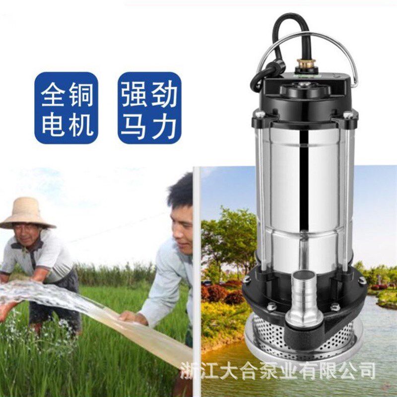 不锈钢小型潜水泵220V清水泵农用单相高压微型边立式抽水泵潜污泵