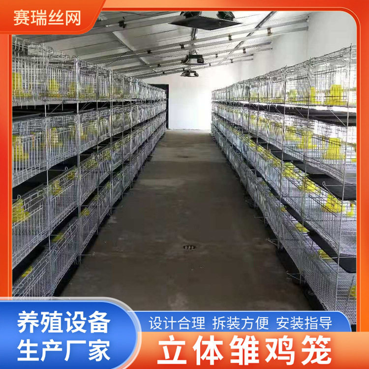 小鸡笼四层八门育雏鸡笼养殖场鸡舍用育鸡笼层叠式养鸡育雏笼