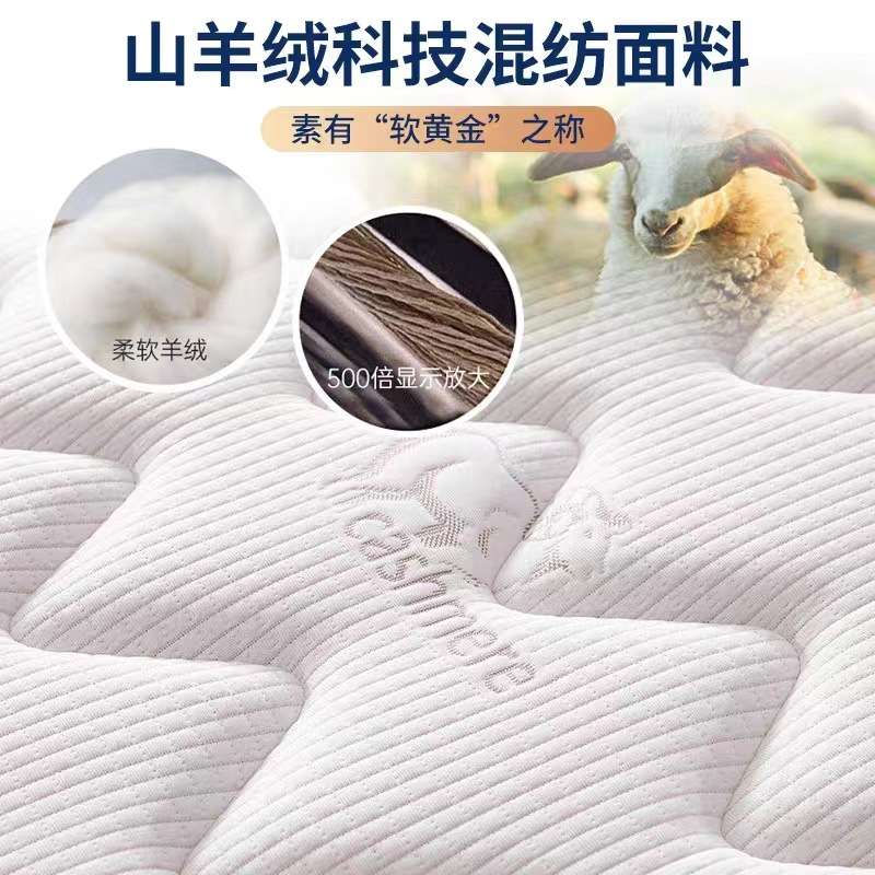 席梦思床垫软硬两用20cm经济型家用乳胶海椰棕马弹簧床垫租房专用图片