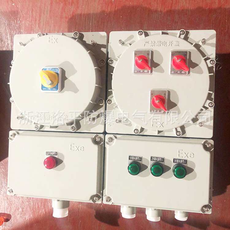 粉尘防爆配电箱 不锈钢304防爆防腐箱 防爆接线端子箱 IICT6