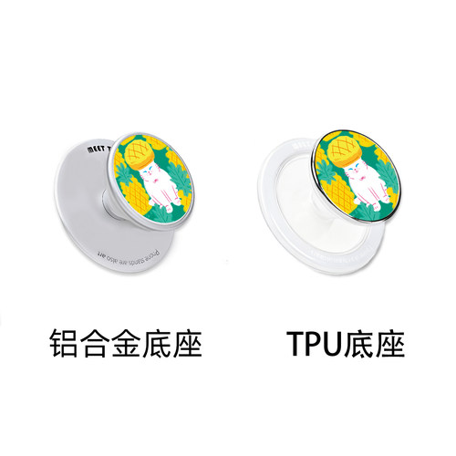 MeetTen菜菜篮子菠萝面包
