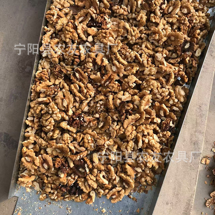 核桃去皮机青皮脱壳机核桃仁破壳机家用电动坚果剥壳机