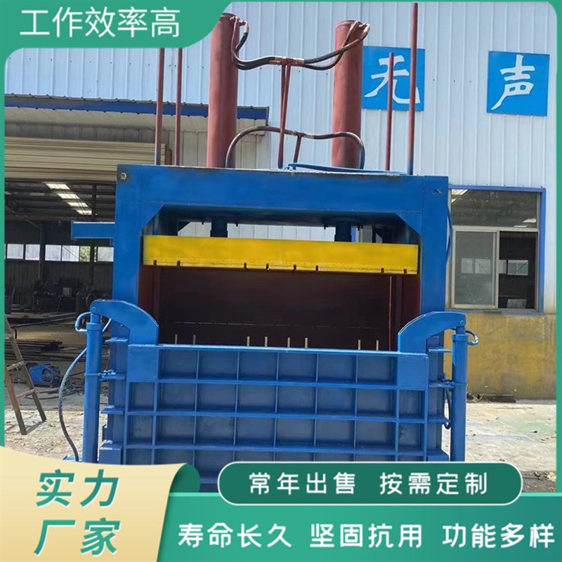 立式双缸废铁废铜压瘪机 多规格液压打包机R 生产碎料压块机