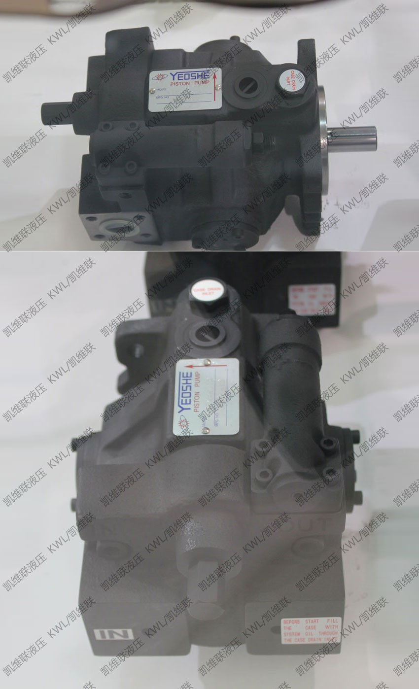 V25B/V25B1R/V25B2R等柱塞泵