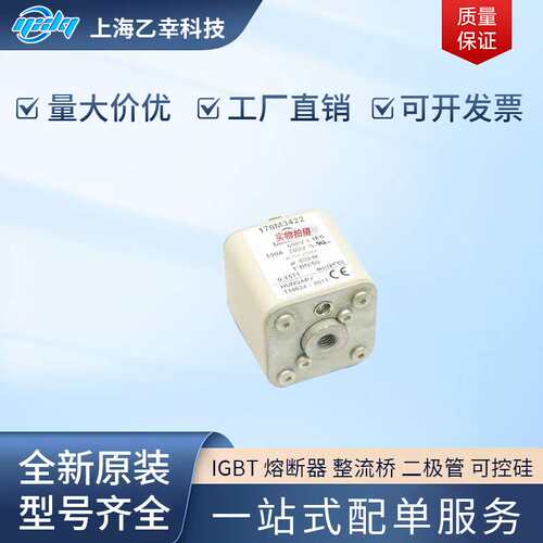 巴斯曼熔断器 170M3490 170M3491 170M3492 170M3493 170M3494