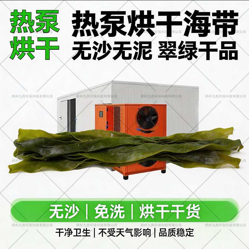 全自动海带烘干房海根菜海带花烘干设备热风循环海藻烘干箱