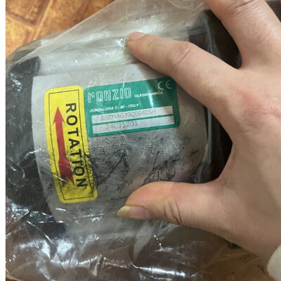 意大利罗茨RONZIO齿轮泵现货