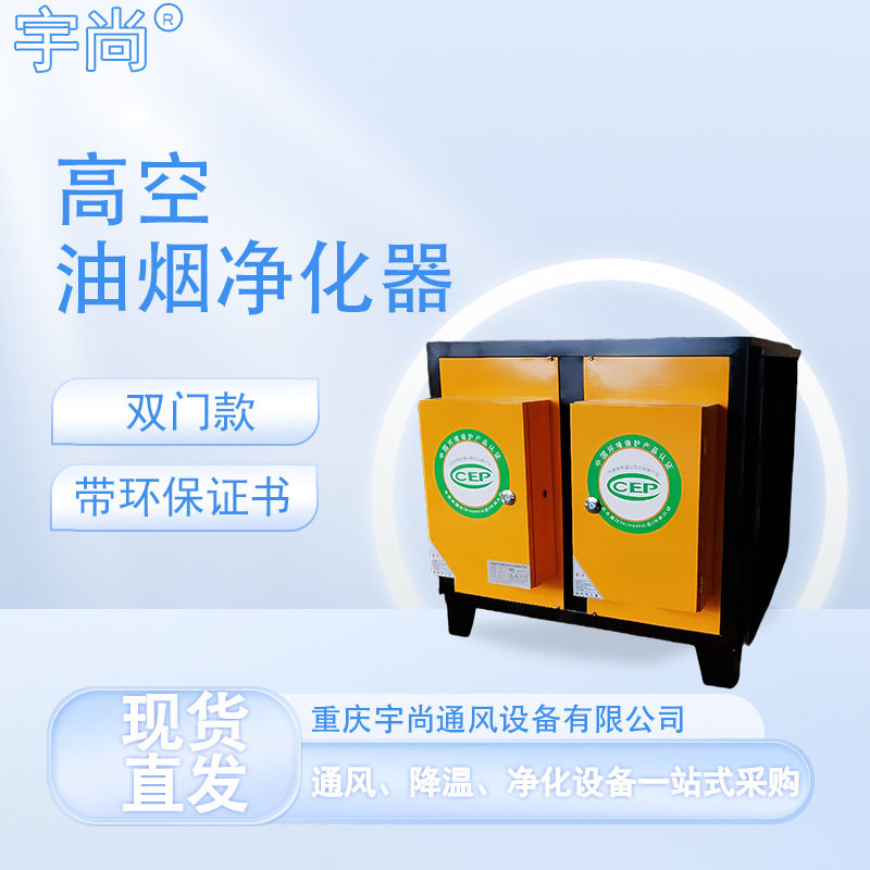 双门高空静电油烟净化器商用