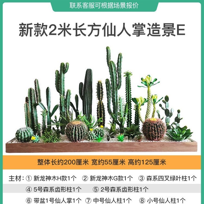 仿真绿植a套装仿生仙人掌景观组合民宿橱窗装饰小仙人柱造景假植