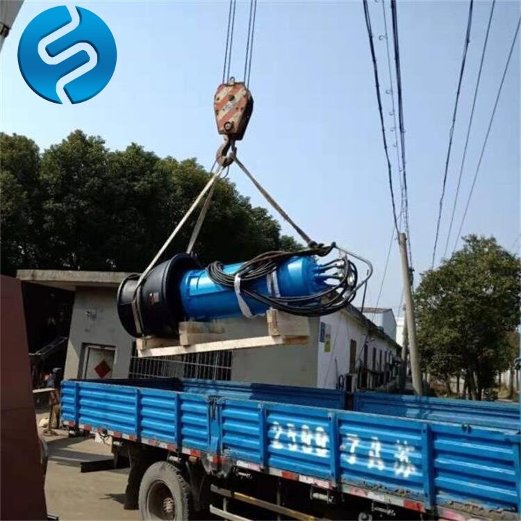 潜水轴流泵立式潜水轴流泵ZQB-100立式潜水轴流泵厂家直供