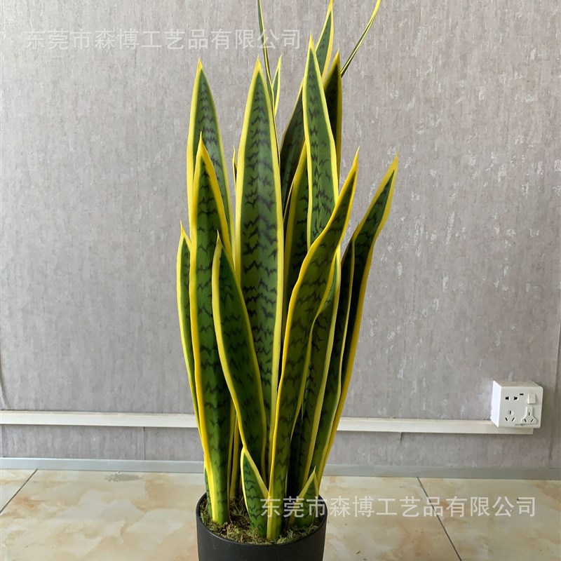 高品质仿真绿色虎皮兰盆栽