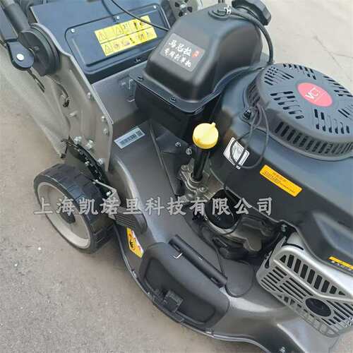 维邦WB538SCV-3IN1-MG马尼拉专用割草机自走钢底盘21寸割草草坪机