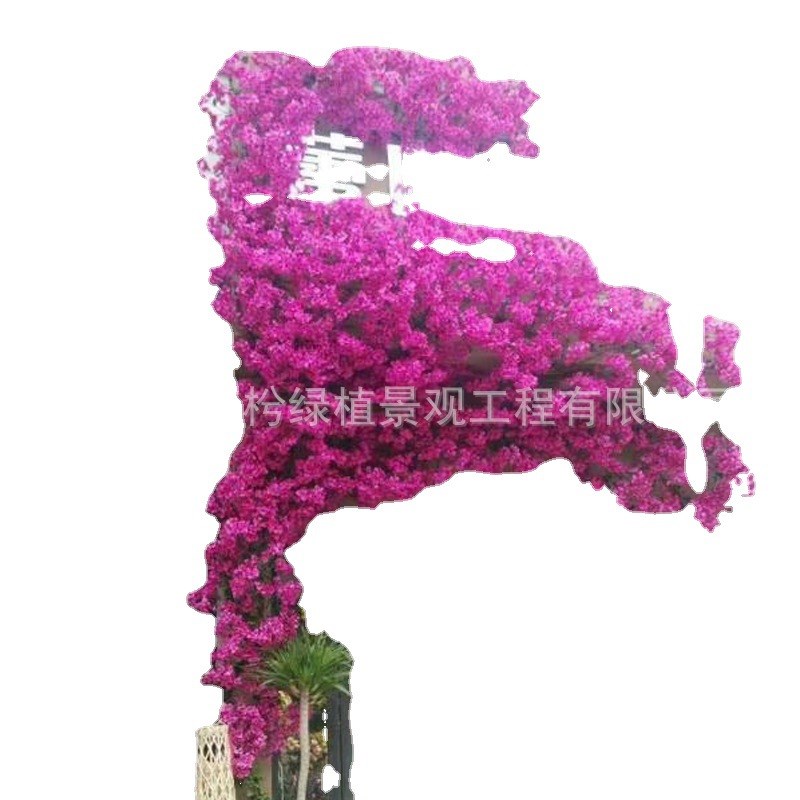 大型仿真绿植落地室内橱窗植物角设计P造景装饰工厂直销